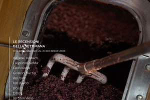 I Vini di WineNews - N. 286