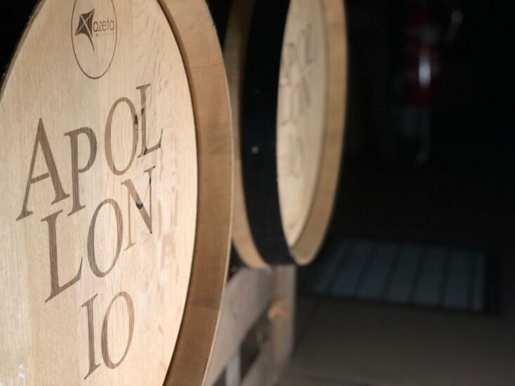 Apollonio 1870 presenta il “Vino da Messa” Mater Terra da uve Negroamaro a Lecce