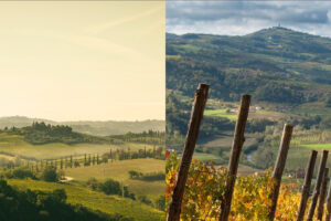 Fine Wines, Piedmont and Tuscany the fastest-growing regions (after Burgundy) in 10 years