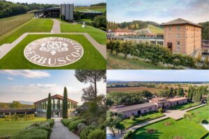 Nel gotha dei marchi di lusso: Ca’ del Bosco, Fontanafredda, Montelvini, Ornellaia, Tenuta San Guido