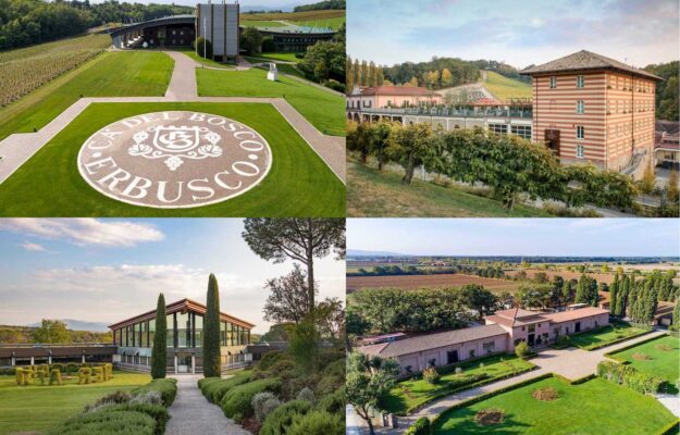 CA' DEL BOSCO, FONTANAFREDDA, MONTELVINI, ORNELLAIA, Premium Wine & Spirits Brands of the World 2023, TENUTA SAN GUIDO, Italia