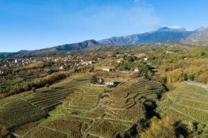 L’Etna, diamante di Sicilia, da Doc a Docg, per crescere in qualità, percezione e valore dei vigneti L’Etna, diamante di Sicilia, da Doc a Docg, per crescere in qualità, percezione e valore dei vigneti
