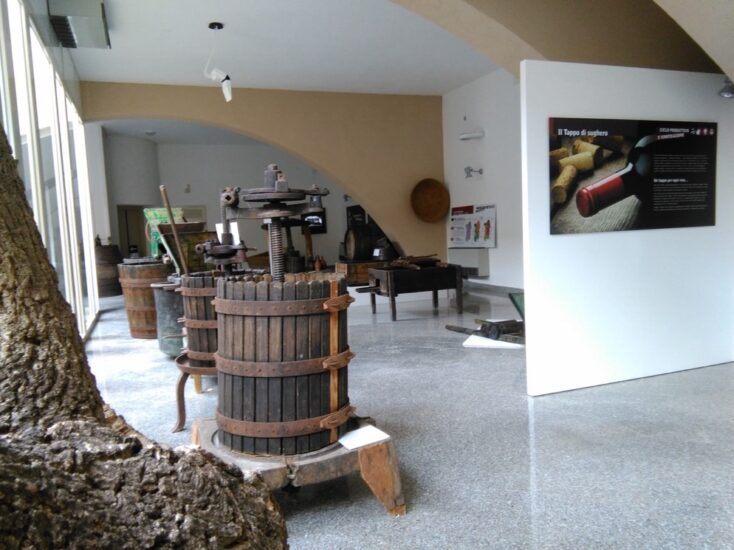 Museo del Vino di Berchidda in Sardegna