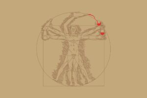 To start the New Year with a smile, here are the most beautiful wine vignettes from “Spirito di Vino