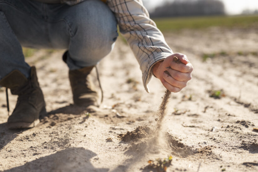 Consumo di suolo, Coldiretti: “in Italia persi 77 km2 di terra all’anno, per 2/3 agricola”