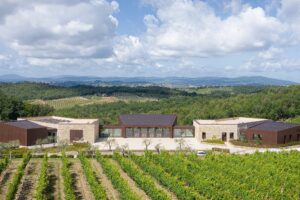 Il Chianti Classico fa gol con la Fiorentina: Vallepicciola è official wine partner della Viola