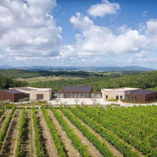 Vallepicciola, nel Chianti Classico, partner della Fiorentina