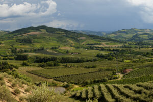 Vini di Romagna, la 2023 sarà ricordata come una buona vendemmia, nonostante l’alluvione Vini di Romagna, la 2023 sarà ricordata come una buona vendemmia, nonostante l’alluvione