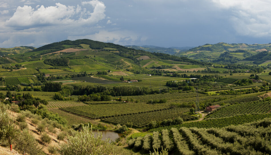 I vigneti di Romanga