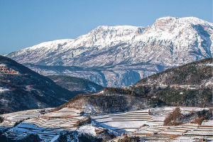 I Quaderni di WineNews - Il Trentodoc