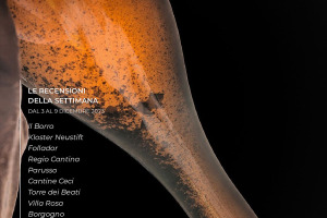 I Vini di WineNews - N. 287