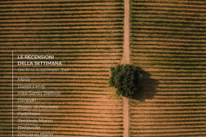 I Vini di WineNews - N. 288