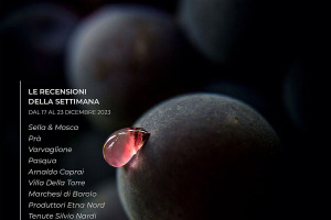 I Vini di WineNews - N. 289