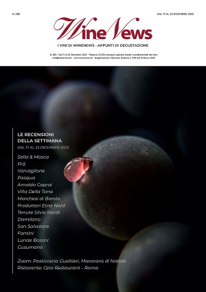 I Vini di WineNews - N. 289