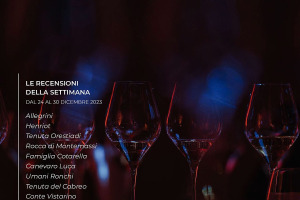 I Vini di WineNews - N. 290