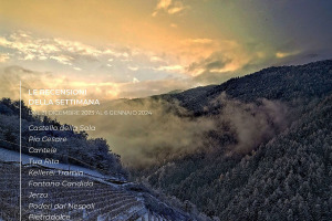 I Vini di WineNews - N. 291