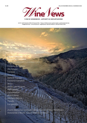 I Vini di WineNews - N. 291