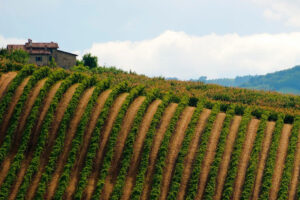 La Romagna che si rialza