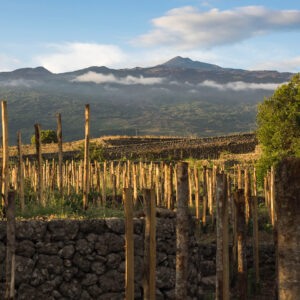 &ldquo;Barolo & Etna&rdquo;, the alliance of two iconic territories of our country conquers Paris
