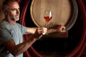 “The World’s Best Rosés”, Italy awarded by “Wine-Searcher”: Trentodoc Maso Martis at no.1