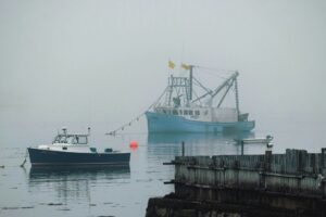 Reti da pesca “digitali”, con sensori e software, per una Flotta Italia sostenibile ed efficiente