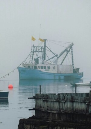Reti da pesca “digitali”, con sensori e software, per una Flotta Italia sostenibile ed efficiente