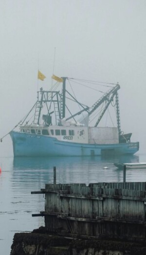 Reti da pesca “digitali”, con sensori e software, per una Flotta Italia sostenibile ed efficiente