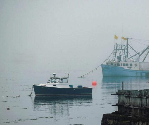 Reti da pesca “digitali”, con sensori e software, per una Flotta Italia sostenibile ed efficiente