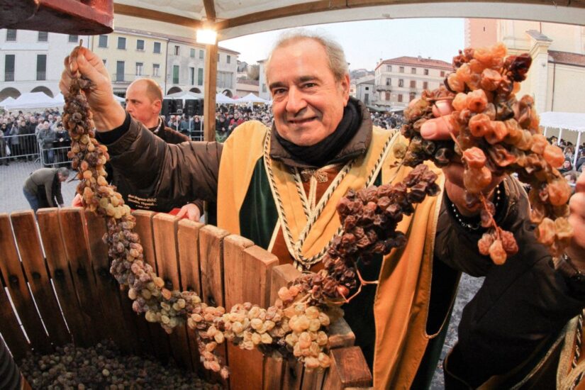 La “Prima del Torcolato” con la prima spremitura in piazza dell’uva Vespaiola a Breganze
