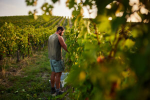 Un progetto che ha fatto storia