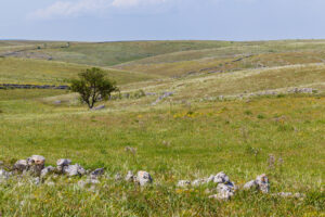 Gli agricoltori della Coldiretti in piazza a Bruxelles per fermare la norma Ue sulle terre incolte
