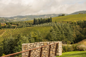 Se i competitor fanno squadra: la case history di Rete Valpantena, “l’altra” Valpolicella