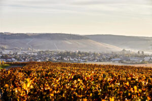 Barons de Rothschild (Château Lafite Rothschild) arriva in Chablis, con William Févre
