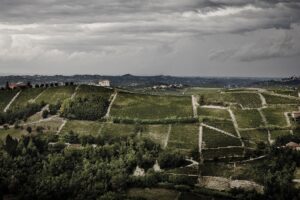 Un affascinante viaggio nell'invisibile mondo del profumo del vino per  scoprirne i segreti della sua bellezza. Arriva “Il Respiro del vino” di  Luigi Moio, volume della Mondadori dedicato a questo tema intrigante.