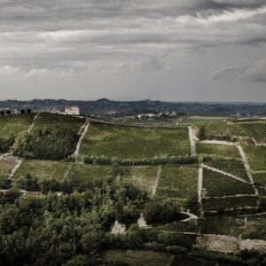 Tra novità e conferme, prende forma la nuova governance dei Consorzi del vino del Piemonte