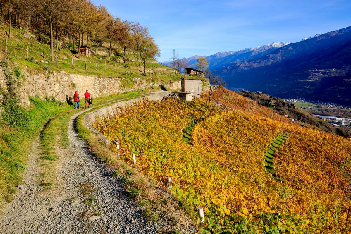 Valtellina News - notizie da Sondrio e provincia » Unesco, pizzi e