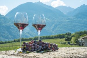 Valtellina, the largest terraced wine-growing area in Italy where “beauty is a creation of agriculture”