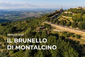 I Quaderni di WineNews - Il Brunello di Montalcino