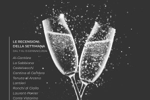 I Vini di WineNews - N. 292