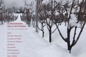 I Vini di WineNews - N. 293