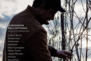 I Vini di WineNews - N. 294