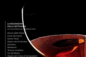 I Vini di WineNews - N. 295