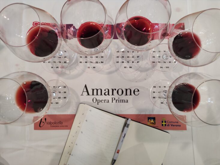 Amarone Opera Prima 2024 - Bicchieri in Degustazione