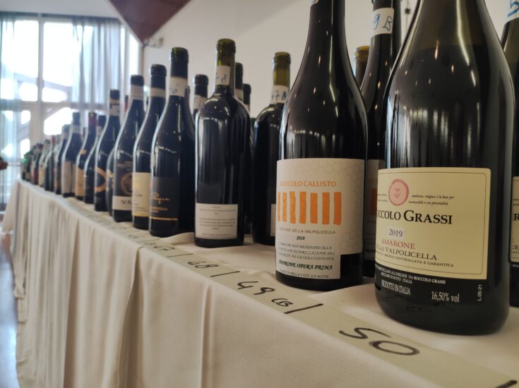 Amarone Opera Prima 2024 - Bottiglie in Degustazione