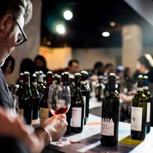 WineNews: The Pocket Wine Web Site in Italy