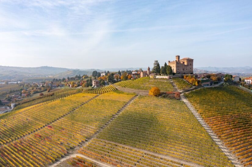 Vigna Gustava al Castello di Grinzane Cavour appartenuta a Cavour (credit: Lavezzo Studios)