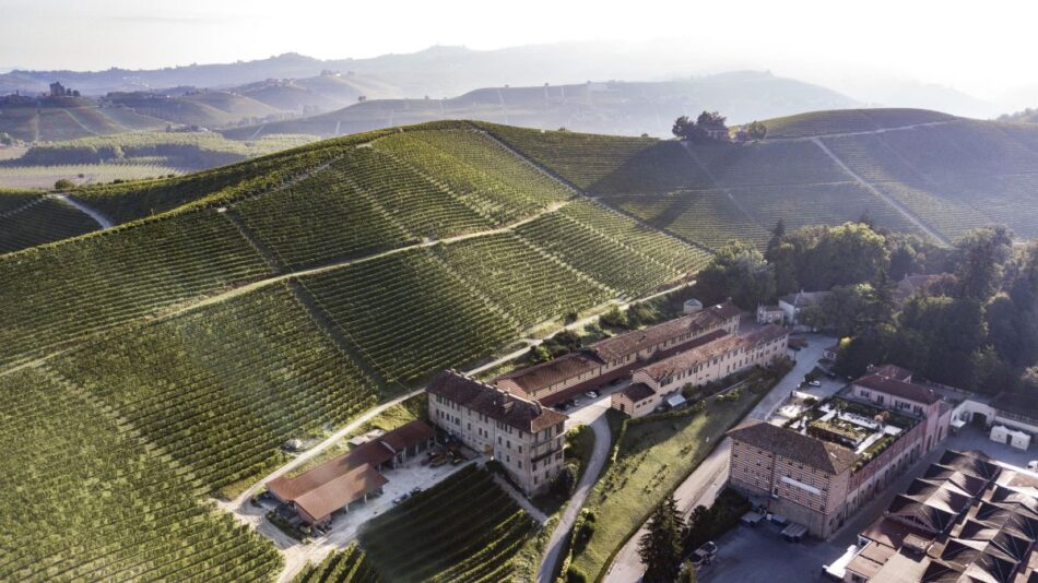 I vigneti di Fontanafredda, la Tenuta fondata dal primo Re d’Italia Vittorio Emanuele II di Savoia