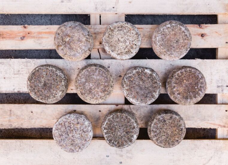 Con “Formaticum” le rarità casearie made in Italy si raccontano a Roma 