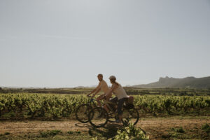 Calo dei consumi e crisi dell’export, l’enoturismo può essere la salvezza per la wine industry?