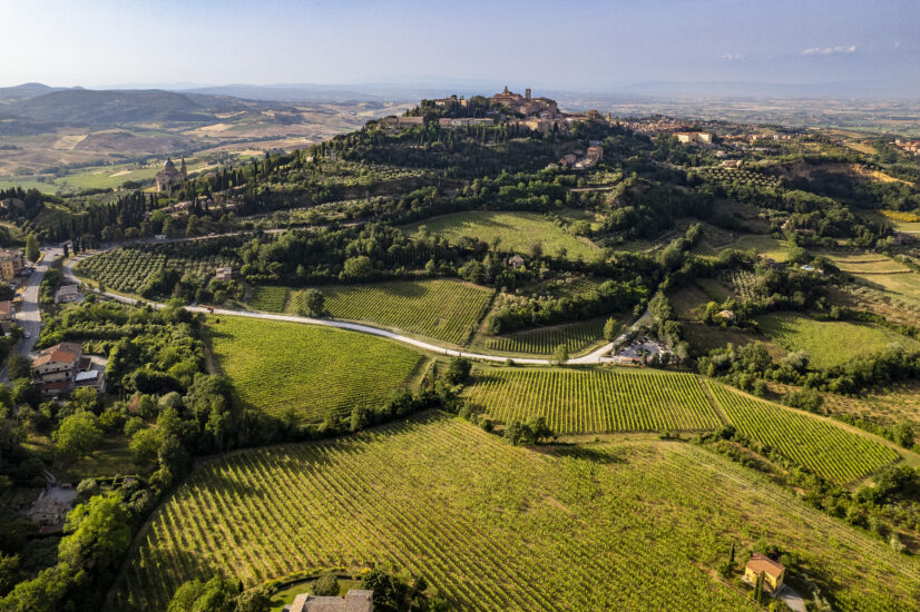 Il paesaggio di Montepulciano con i suoi vigneti